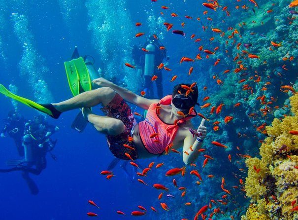Dive at Mnemba Atoll 2