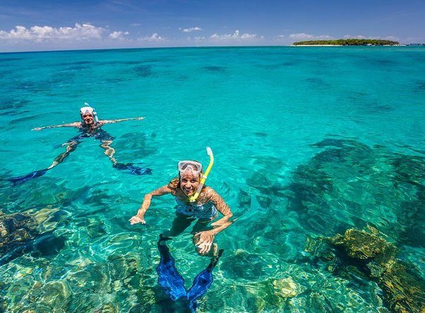 Enjoy snorkeling at Mnemba Island 2