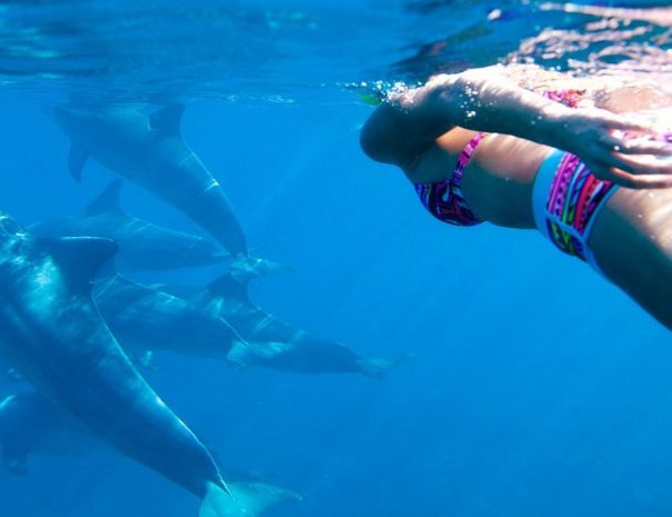 Swim with Wild Dolphins in Zanzibar