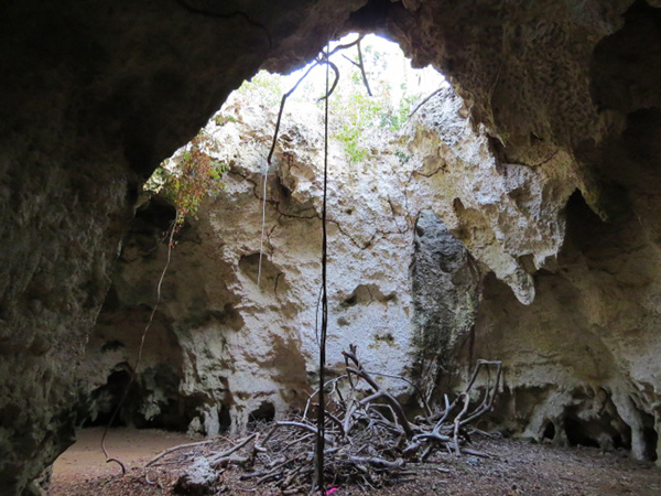 Discover the Magic of Jambiani Village 4