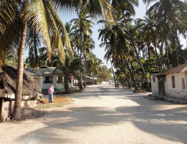 Discover the Magic of Jambiani Village