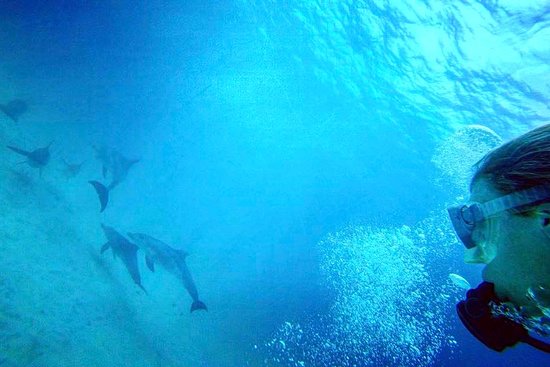 Dive at Mnemba Atoll 3