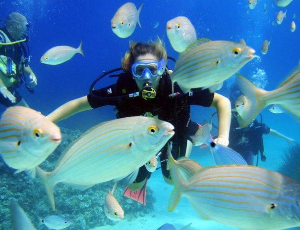 Dive at Mnemba atoll Zanzibar