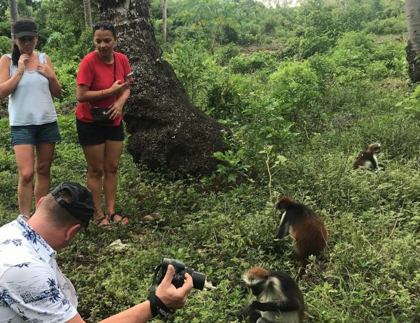 Jozani-Forest-photography-2