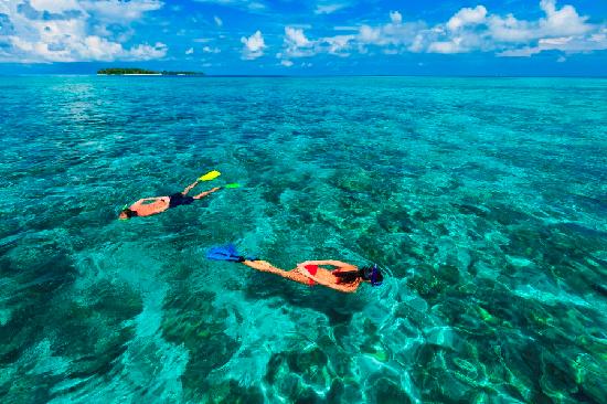 snorkeling-at-chumbe-island-coral-park-zanzibar-tanzania 5
