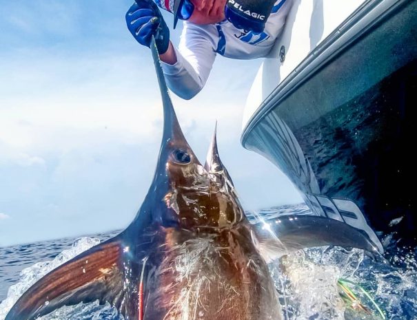 Clearwater Beach Day Trip Including Deep-Sea Fishing