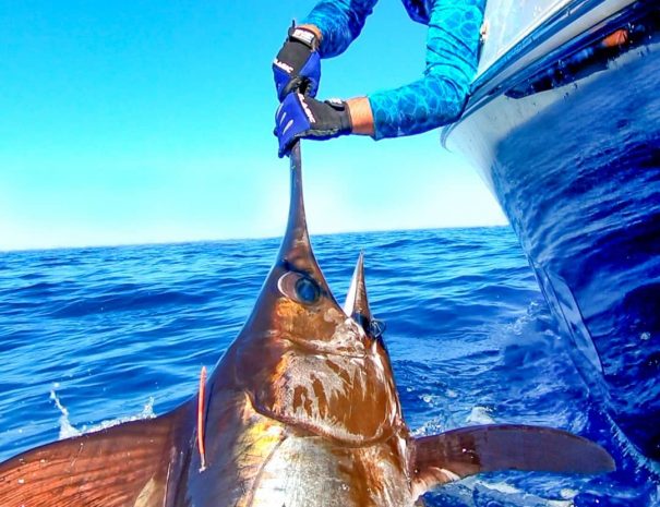 Clearwater Beach Day Trip Including Deep-Sea Fishing