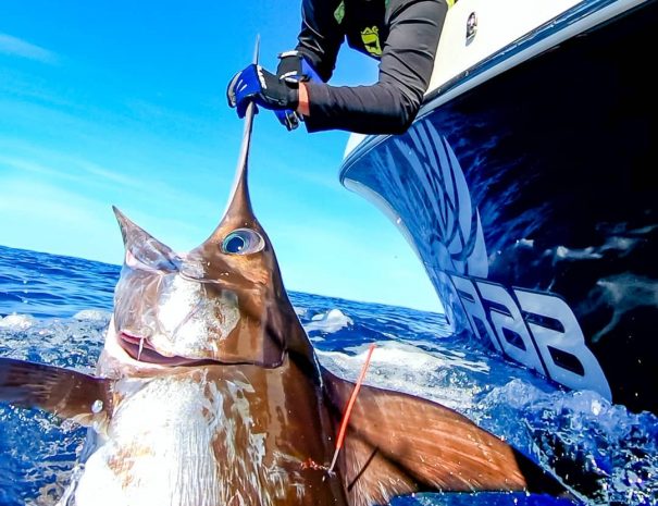 Clearwater Beach Day Trip Including Deep-Sea Fishing