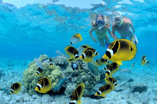 Blue Lagoon Snorkeling Tour2