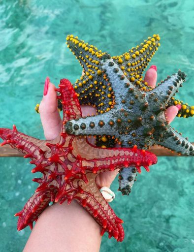 Zanzibar Nakupenda Beach Tour: Departure from Jambiani Beach
