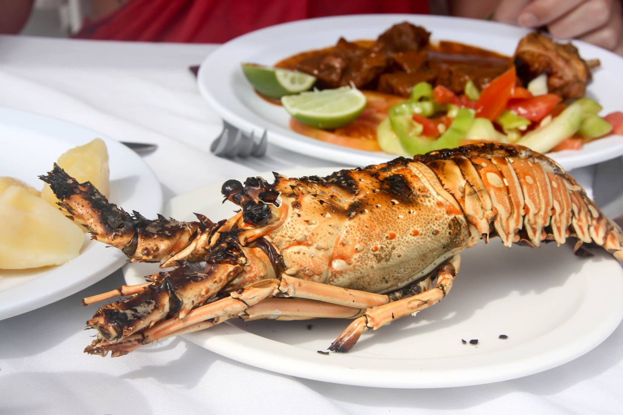 Small-Group Cooking Lesson in Zanzibar Countryside